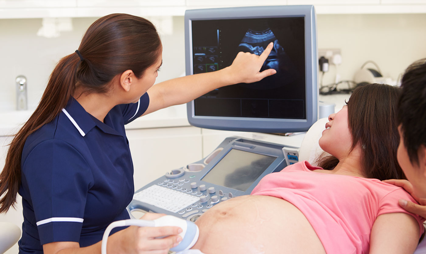 Šta se sve prati na ekspertskom ultrazvuku